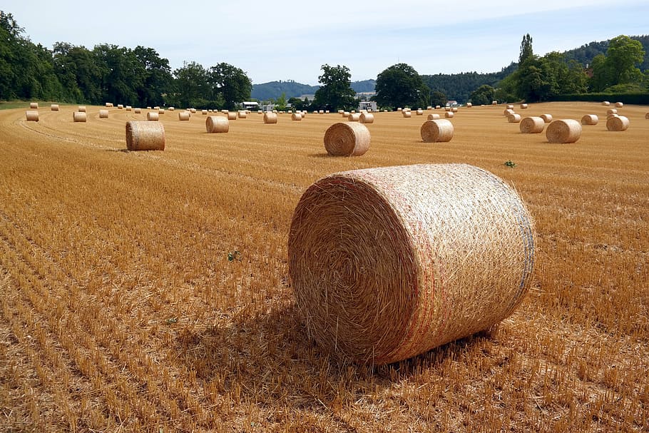 straw bales, switzerland, agriculture, summer, stubble, straw box, HD wallpaper