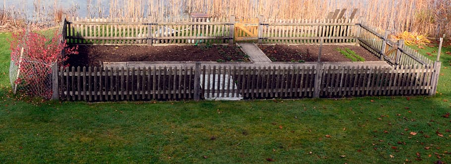 allotment, garden, bed, will, plant, fenced, family garden HD wallpaper