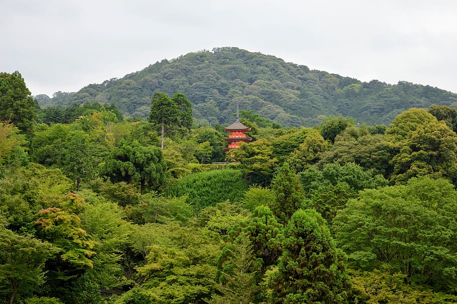 kyoto, japan, temple, japanese, asia, culture, shintoism, sanctuary, HD wallpaper