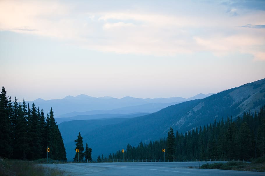 Gray Concrete Road Surrounded by Pine Trees Under Gray Sky, cloud HD wallpaper