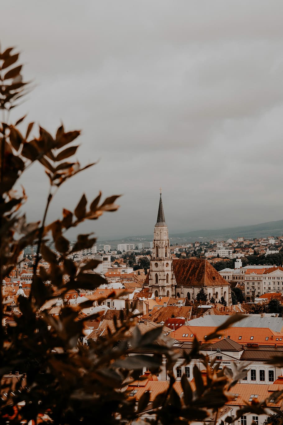 green tree near white-and-brown village buildings with cathedral under white cloudy skies, Florence Cathedral, Italy HD wallpaper