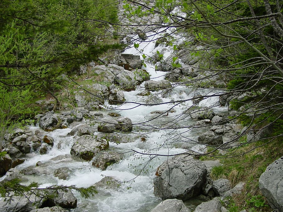 stream, nature, rocks, forest, water, river, mountain stream HD wallpaper