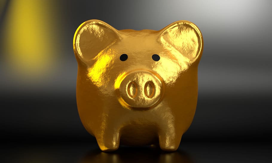gold pig figurine, piggy, bank, money, finance, business, banking, HD wallpaper