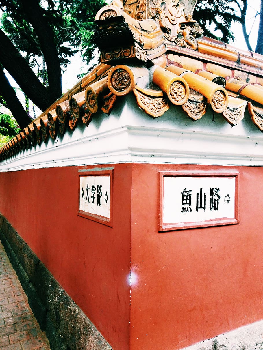 Qingdao, Fish, Road, Corner, fish road, architecture, asia, HD wallpaper