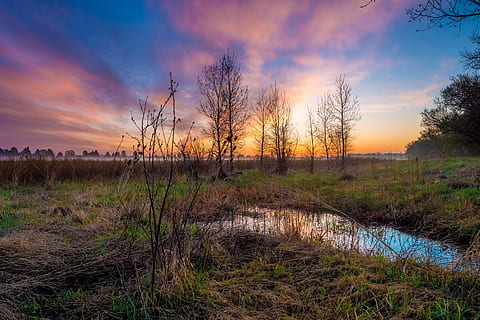 green grass field under blue and white cloudy sky, bare trees beside body of water HD wallpaper