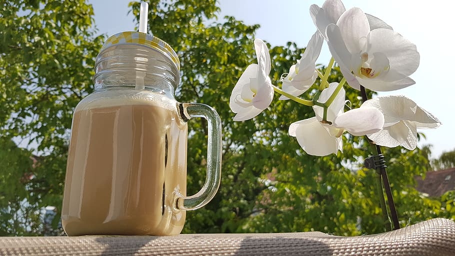 vegan, coconut milk, almond milk, coffee, wellness, plant, flower, HD wallpaper