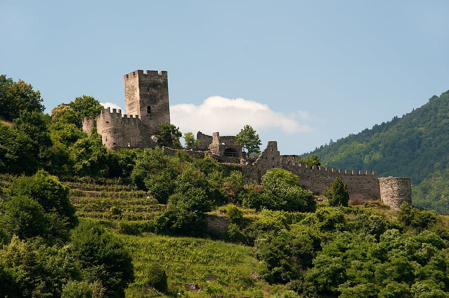 Ruin, Castle, Wachau, Austria, Building, knight's castle, tree, HD wallpaper