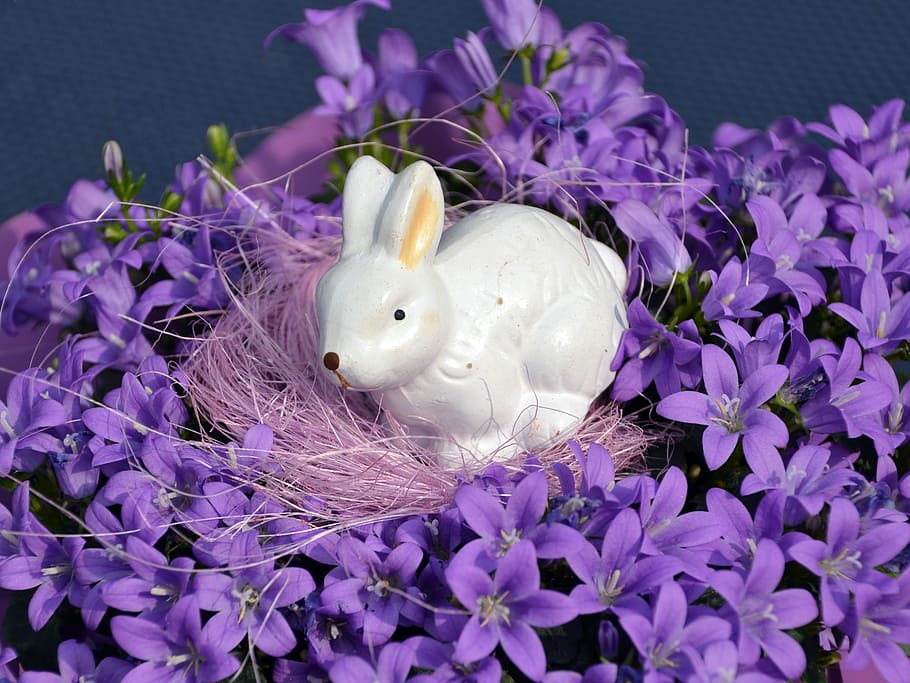 easter, hare, figure, easter bunny, spring, decorative, blossom HD wallpaper