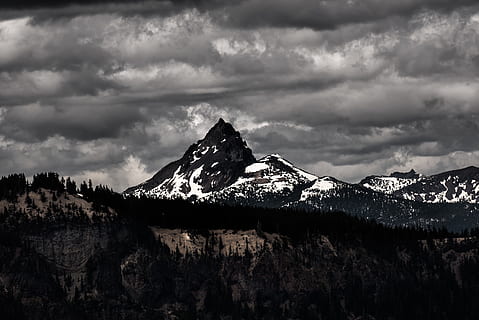grayscale photography of mountains and trees, photo of mountains covered by snow HD wallpaper