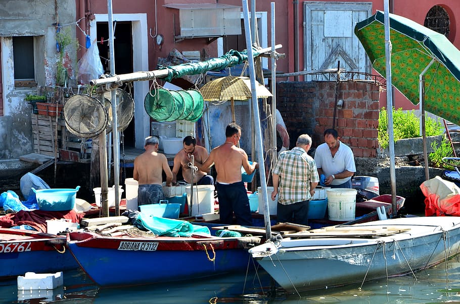 fishing boats, chioggia, fischer, italy, fish market, nautical vessel, HD wallpaper