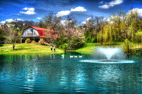red and white wooden house near river and trees during daytime painting HD wallpaper