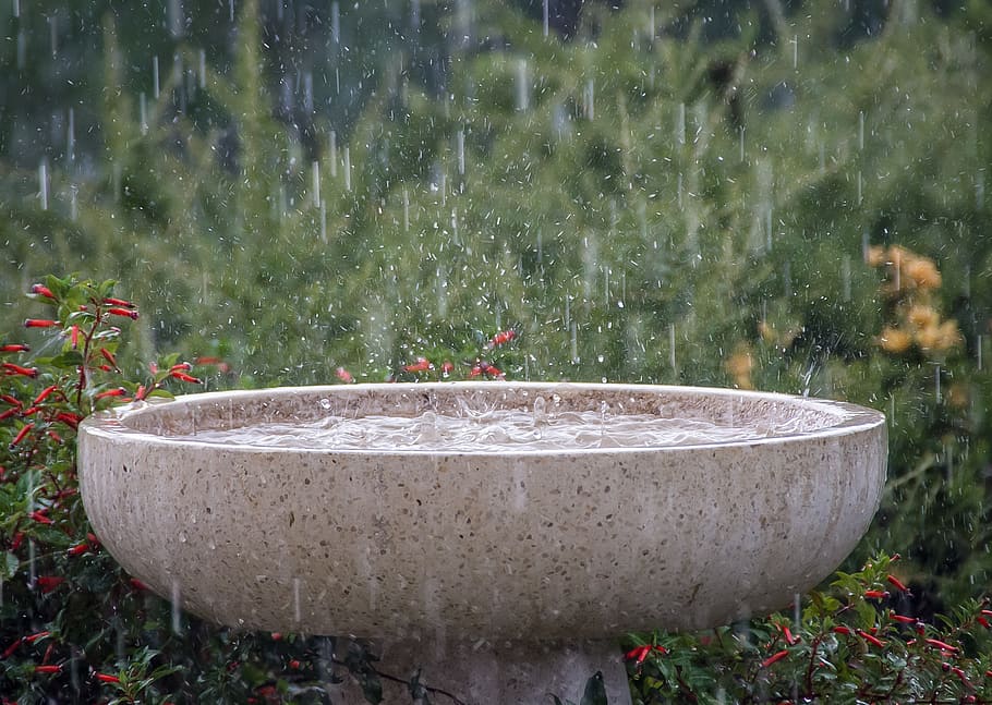 brown birdbath near red and orange petaled flowers, rain, rainfall HD wallpaper