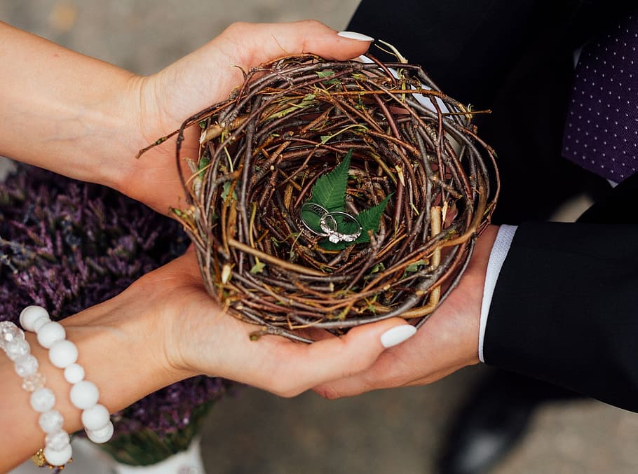 wedding, jack, ring, human hand, human body part, holding, real people HD wallpaper