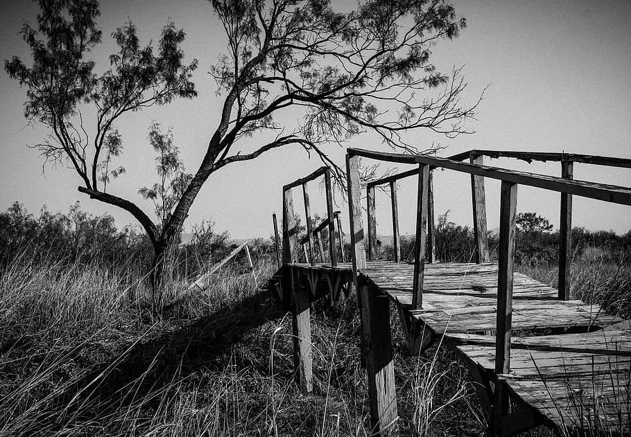 Bridge, Rustic, Old, Wooden, Structure, crossing, rural, tree HD wallpaper