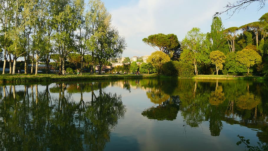 fresh, tree, reflection, river banks, water, lake, plant, tranquility HD wallpaper
