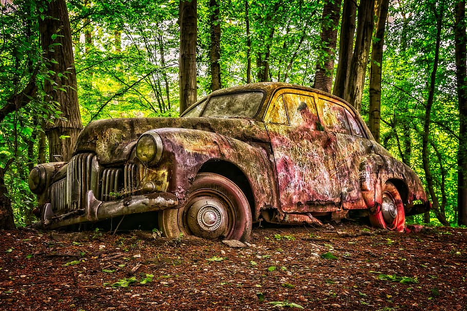 abandoned classic sedan at forest during daytime, oldtimer, american