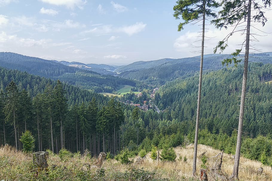 landscape, view, nature, forest, dam, vegetation, söse, mountain landscape HD wallpaper