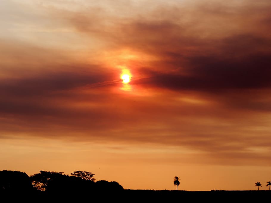 sunset, against light, clouds in the sun, sky, cloud - sky HD wallpaper