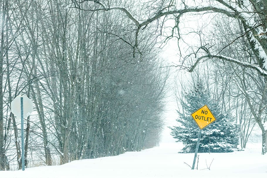 During winter and sometimes. Синяя табличка в лесу.