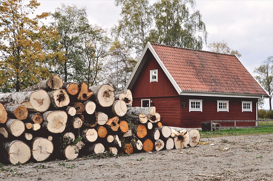 pile of lumber near red house, cottage, logs, wood, tree, autumn HD wallpaper