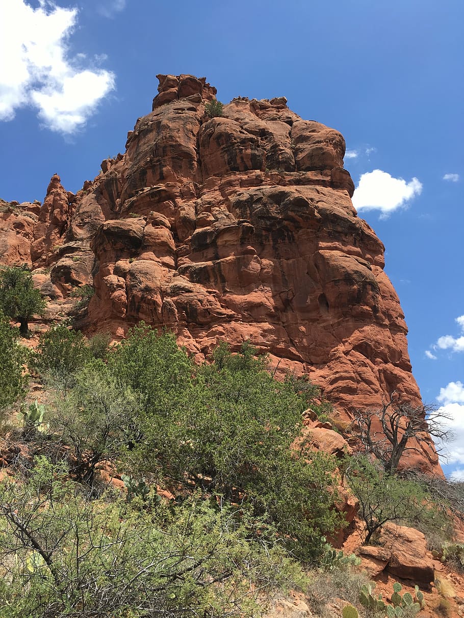 sedona, red, rock, tree, nature, blue, sky, arizona, usa, rock - object HD wallpaper