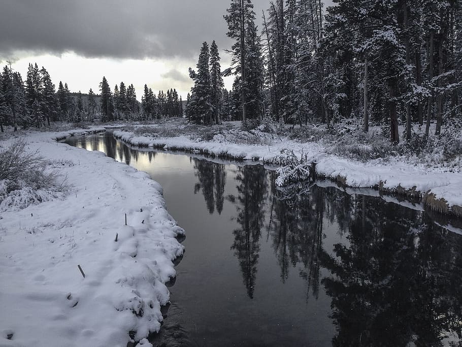 river under gray clouds, creek, water, reflection, winter, landscape HD wallpaper