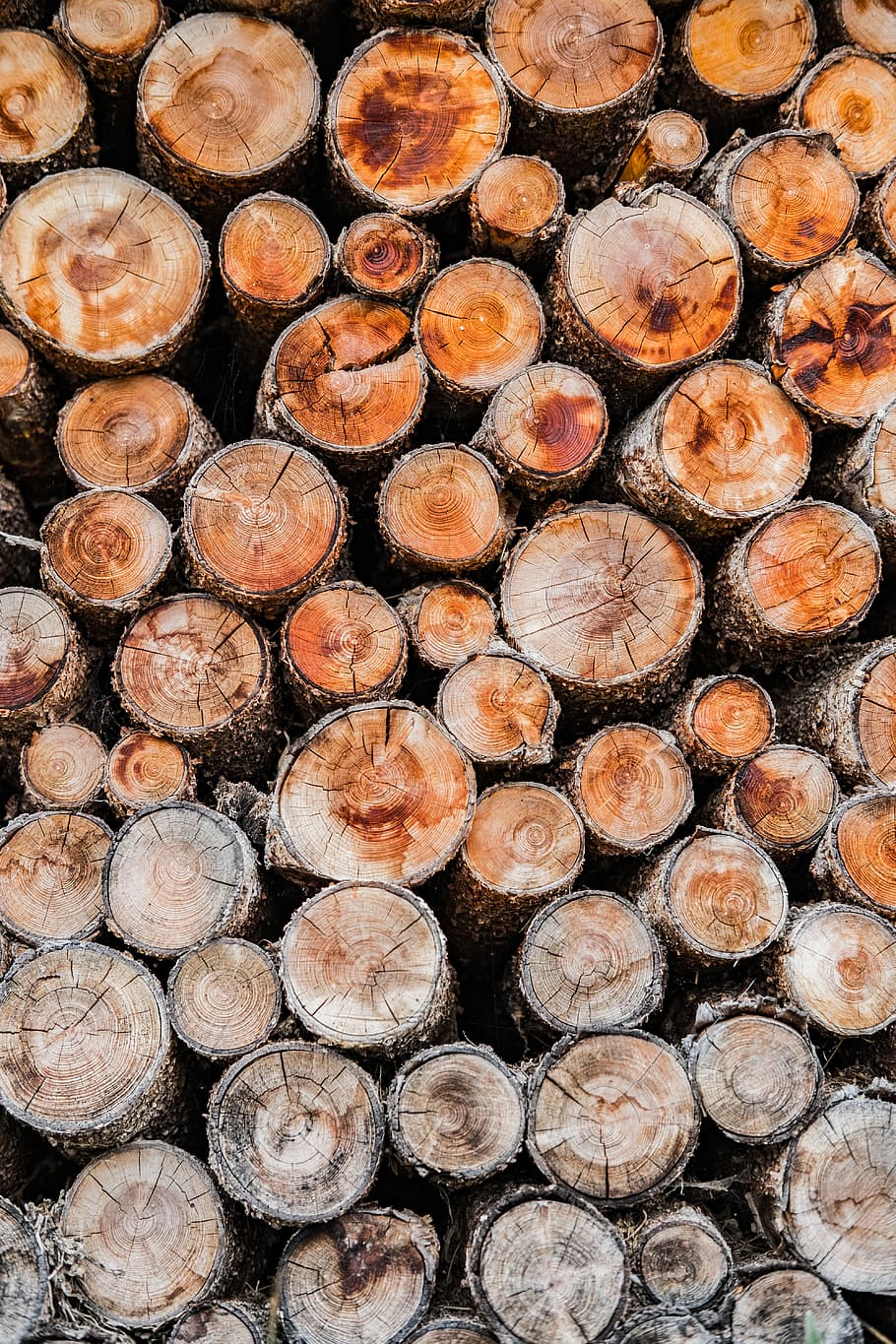 pile of of brown wood logs, brown logs, nature, pattern, repetitive, HD wallpaper