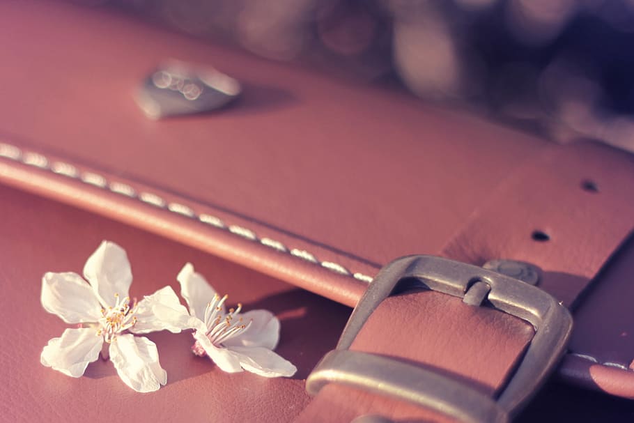 brown leather bag with buckle strap, personal Accessory, close-up HD wallpaper