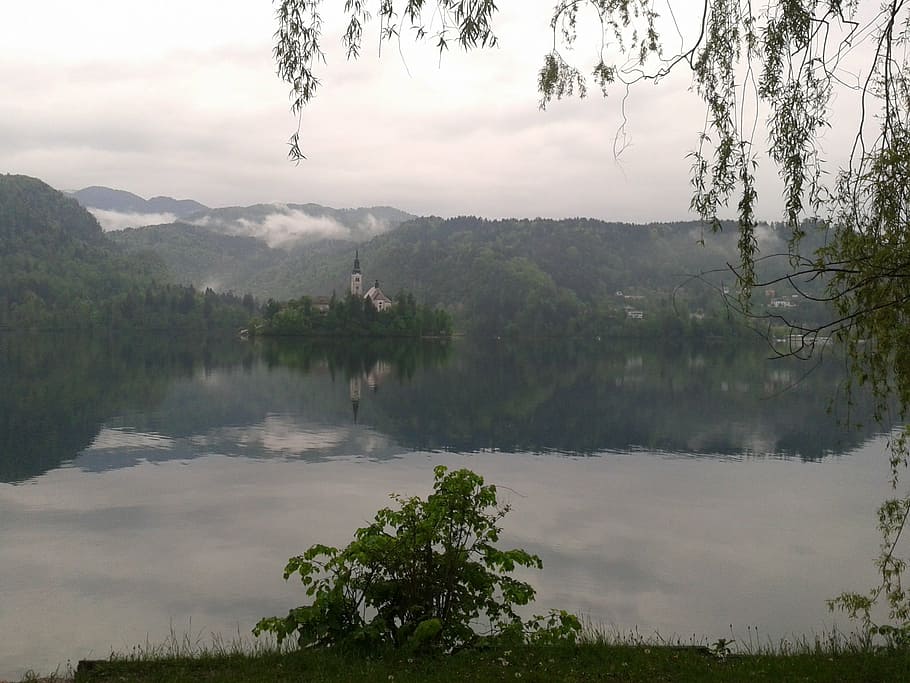 bled, slovenia, mountains, tree, water, plant, lake, reflection HD wallpaper