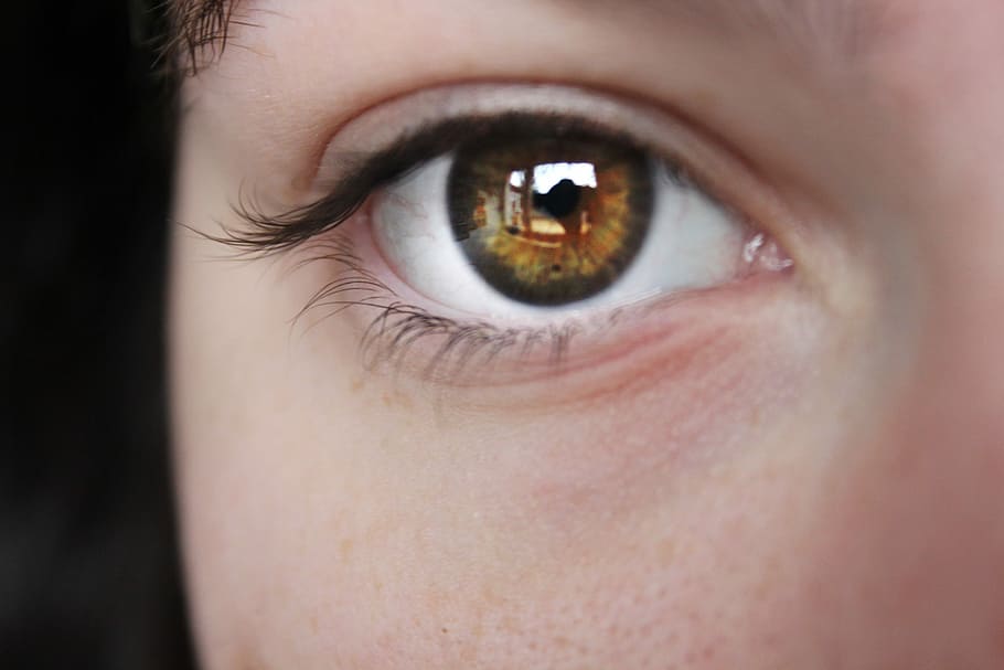 closeup photography of person's brown eyes, light, woman, rays HD wallpaper