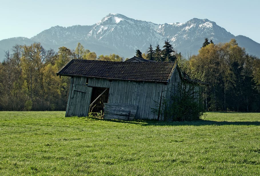 hut, barn, old, nature, field, meadow, field barn, log cabin HD wallpaper