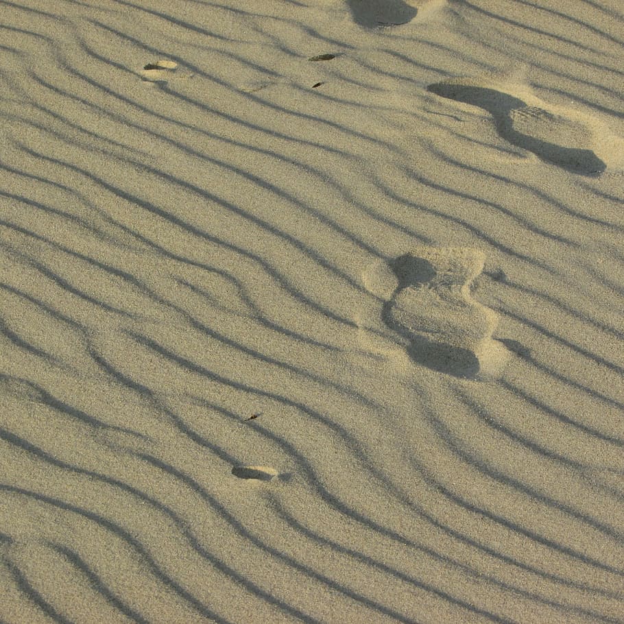 wind waves, sandy beach, elephant rock beach, land, pattern HD wallpaper