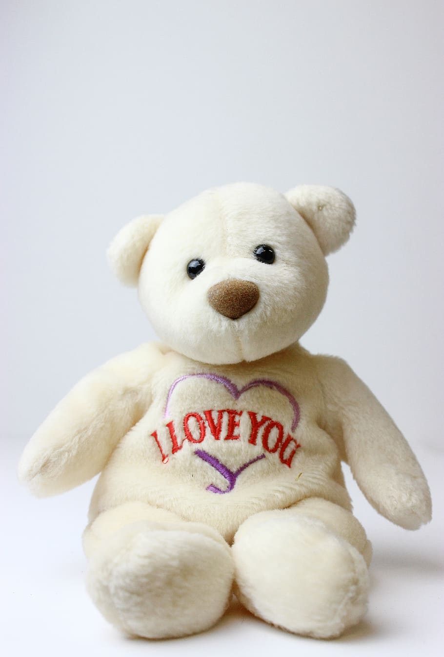 HD wallpaper: teddy bear, beanie baby, i love you, adorable, white, cute |  Wallpaper Flare