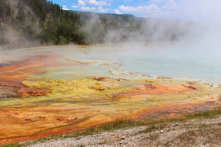 steam, nature, geothermal energy, landscape, thermal spring
