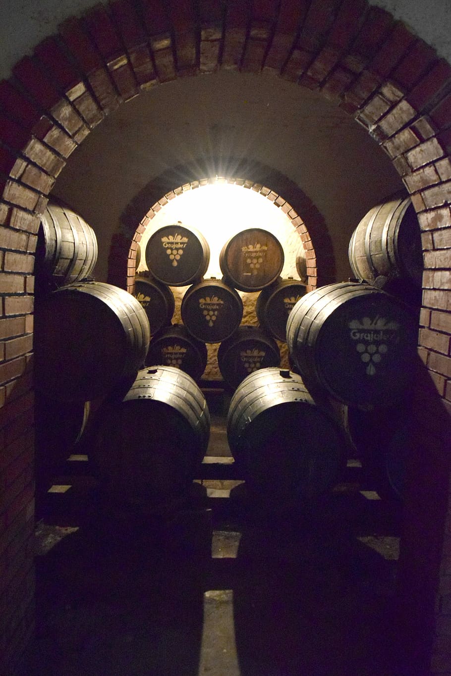 Barrels, Wine, Vineyard, Grapes, colombia, aging, añejo, liquor HD wallpaper