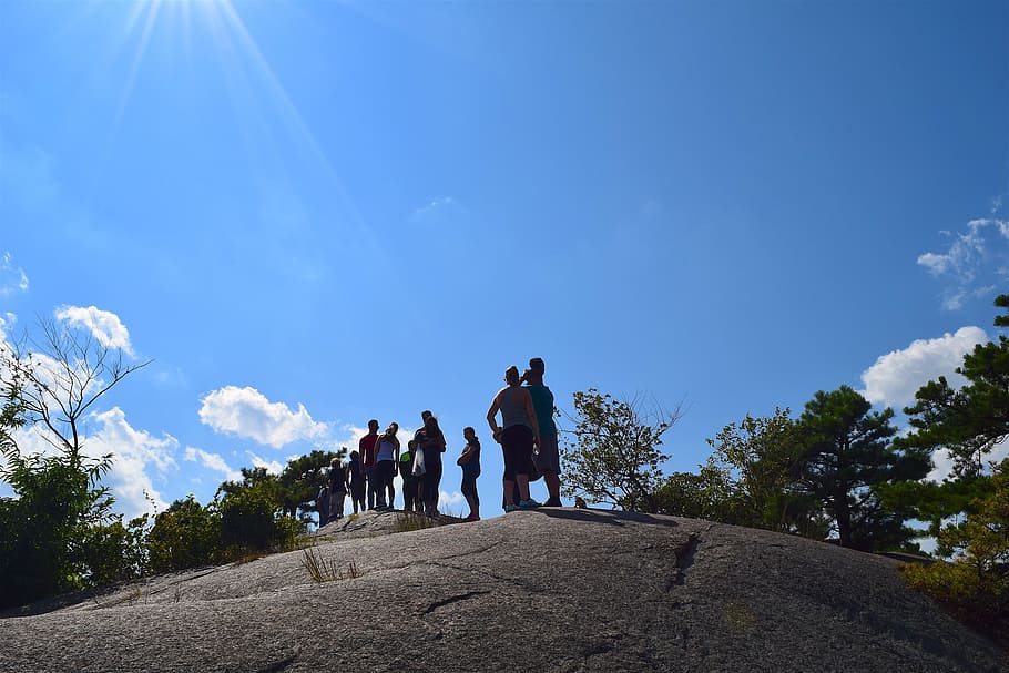 mountain, people, tree, sky, hikers, park, landscape, nature HD wallpaper