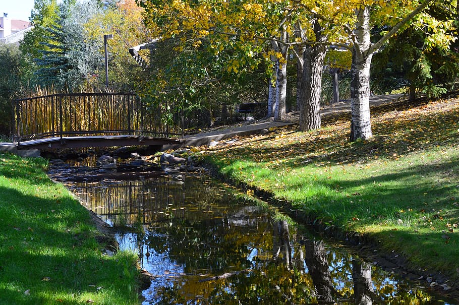 stream, bridge, trees, park, grass, nature, landscape, water HD wallpaper