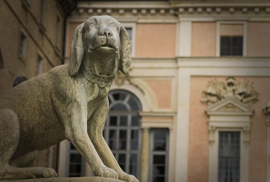 govone, dog, statue, castle, stone, solitude, affection, architecture HD wallpaper