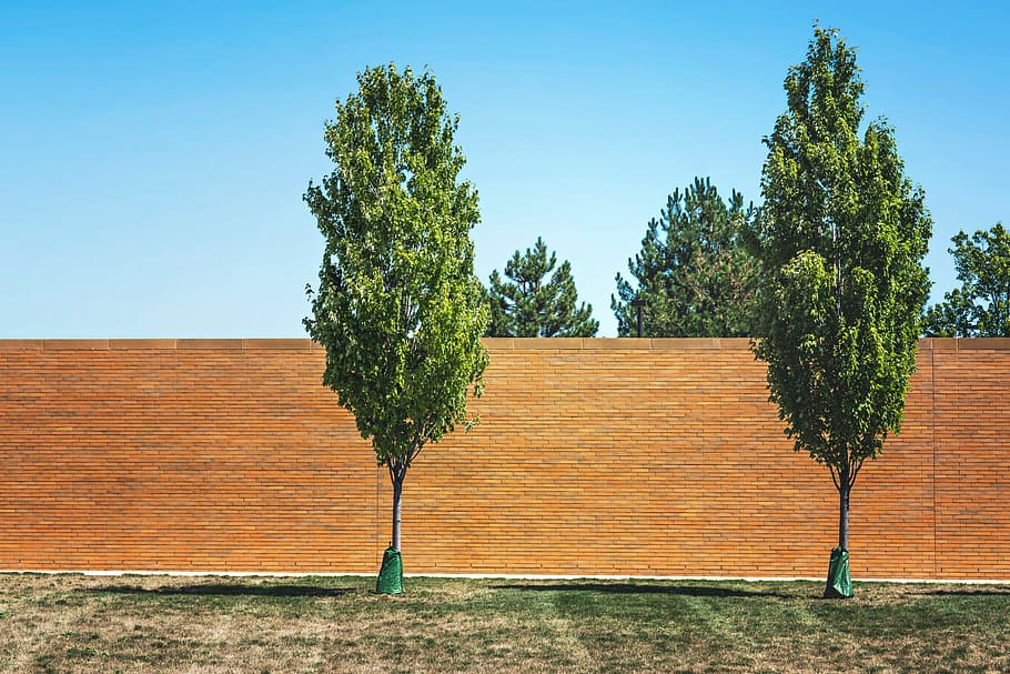 trees, brick wall, garden, park, organic, agriculture, outdoors HD wallpaper