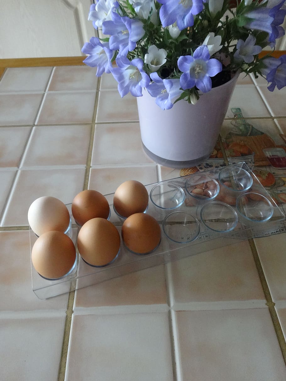eggs, bellflower, table, freshness, flowering plant, food and drink HD wallpaper