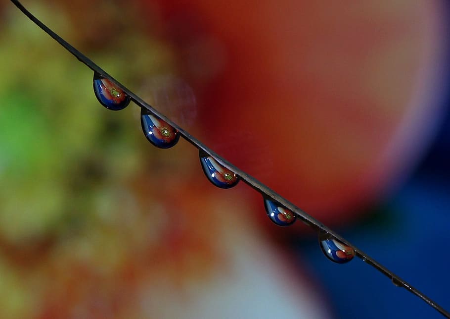 drops, macro, reflection, water, close-up, wet, focus on foreground HD wallpaper