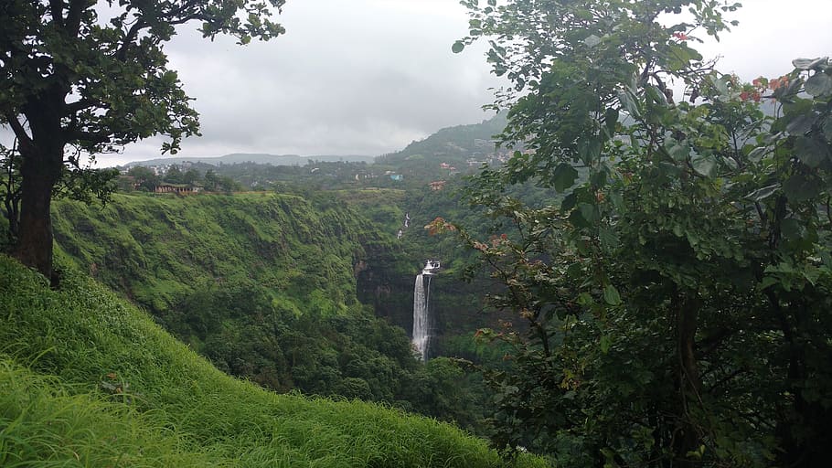 pune, india, waterfall, monsoon, lonavala, kune falls, plant, HD wallpaper