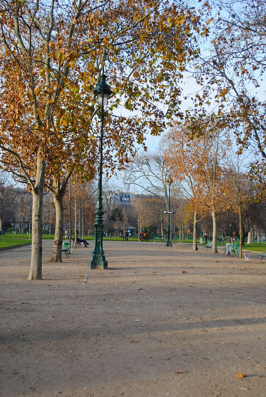 autumn, paris, park, stroll, center, architecture, france, output