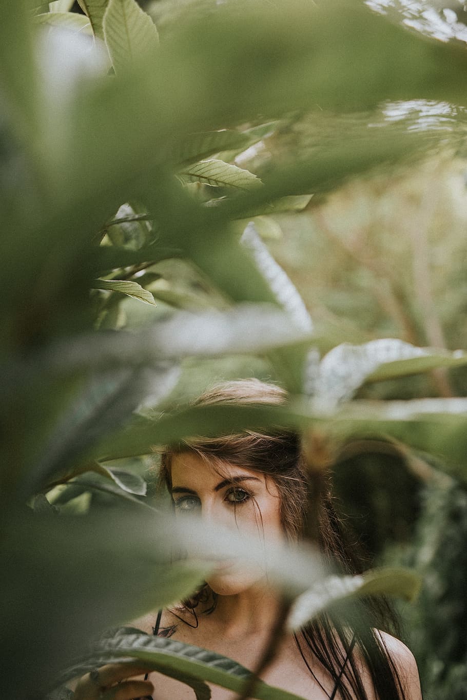 portrait of woman with green leaves, women, people, nature, one Person HD wallpaper