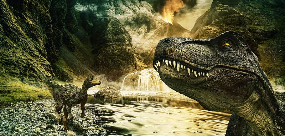 dinosaur digital wallpaper, t rex, raptor, tyrannosaurus, volcano