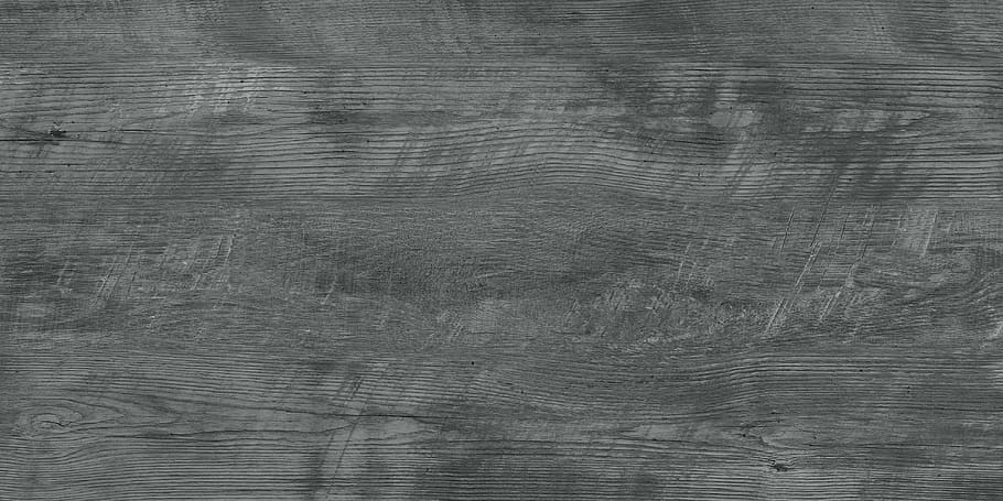 gray textile, trees, wood, yellow wood, oak, sandalwood, teak, HD wallpaper