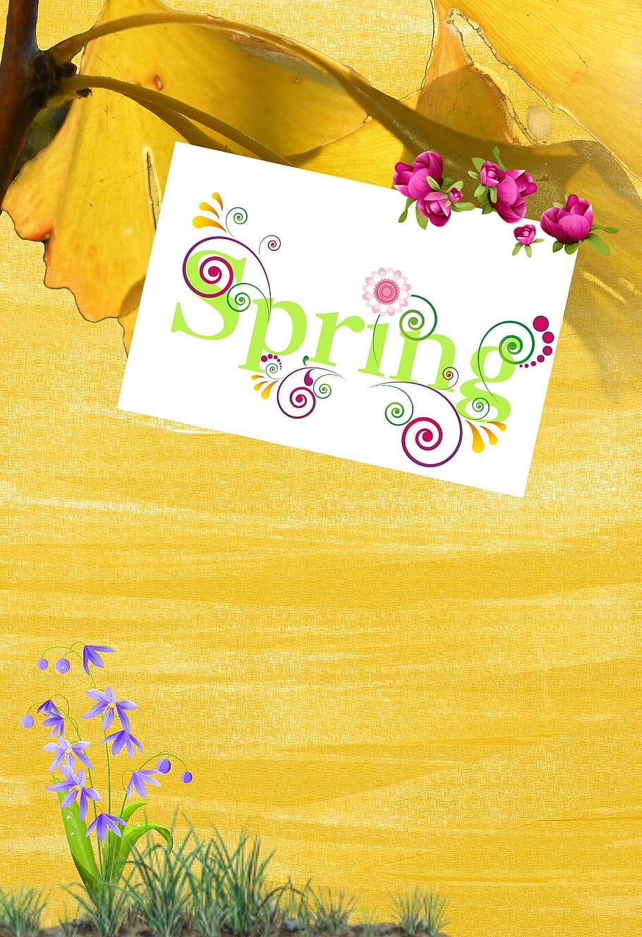Springtime, Fresh, Landscape, Bloom, plant, outdoor, gardening HD wallpaper