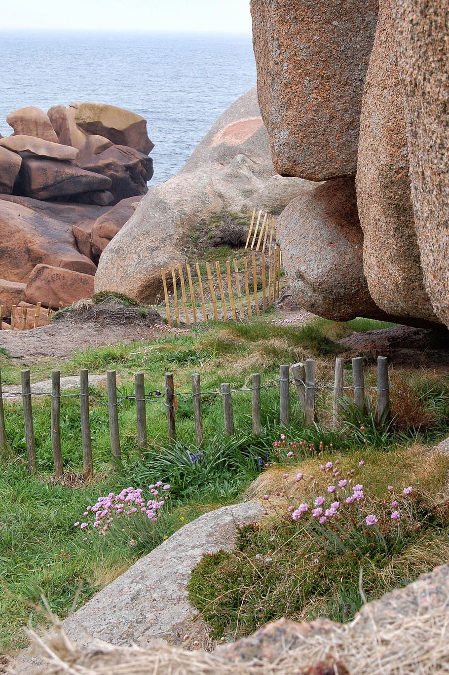 france, brittany, pink granite coast, rocky coast, steinig, HD wallpaper