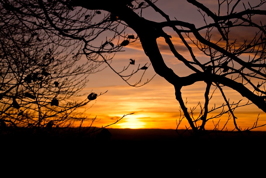 sunset, evening, abendstimmung, evening sun, sky, silhouette HD wallpaper