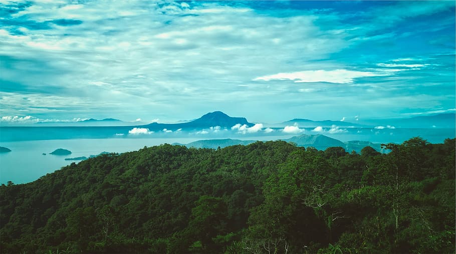 green leafed trees near sea, leaved, mountain, white, cloudy HD wallpaper